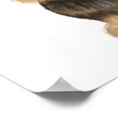 Drahthaar Dackel | Niedlicher Cartoon Dog Teckel Poster (Ecke)