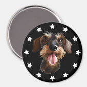 Drahthaar Dackel Stars Magnet (Vorderseite/Rückseite)
