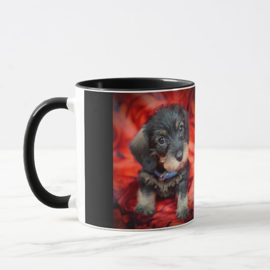 Drahthaar-Dackelwelpen-Kaffee-Tasse Tasse (Links)
