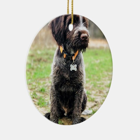 Drahthaar, das Griffon Welpen zeigt Keramikornament (Rechts)