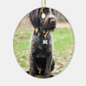 Drahthaar, das Griffon Welpen zeigt Keramikornament (Links)