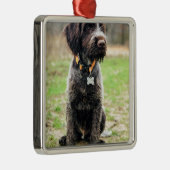 Drahthaar, das Griffon Welpen zeigt Ornament Aus Metall (Rechts)