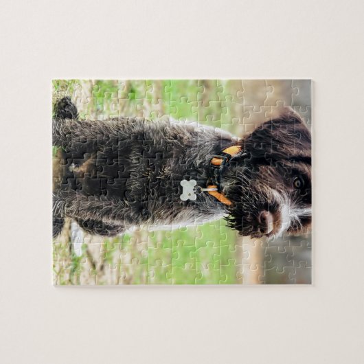 Drahthaar, das Griffon Welpen zeigt Puzzle (Horizontal)