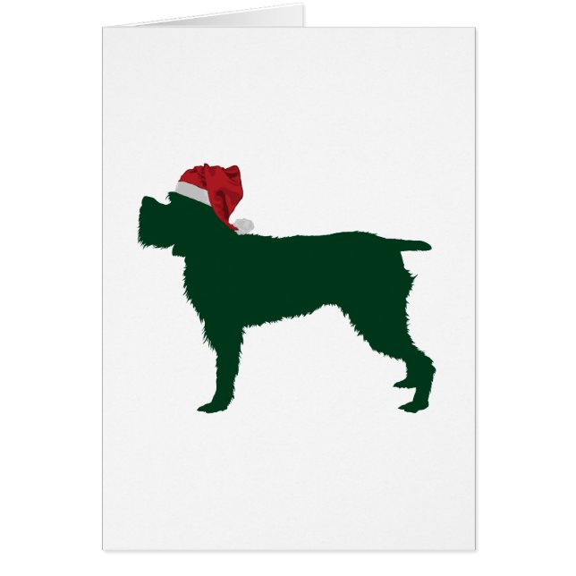 Drahthaar, das Griffon zeigt (Vorne)