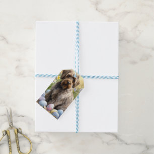 Drahthaar-Griffon-Osterhasen-Feiertag Geschenkanhänger