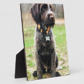 Drahthaar mit Griffon Welpe Fotoplatte (Seite)