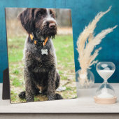 Drahthaar mit Griffon Welpe Fotoplatte (Seite)