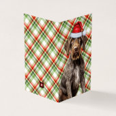 Drahthaar Pointer Dog Holiday Karierte Weihnachten (Vorderseite)