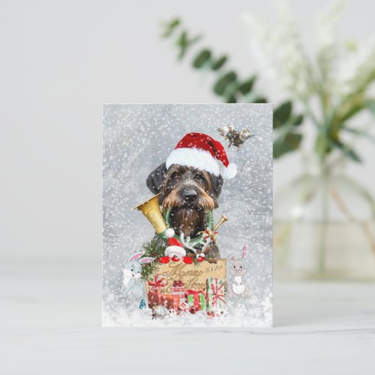 Drahthaar Pointer, Dog Weihnachten (Stehend Vorderseite)