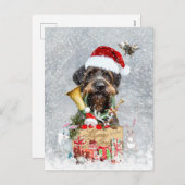 Drahthaar Pointer, Dog Weihnachten (Vorne/Hinten)