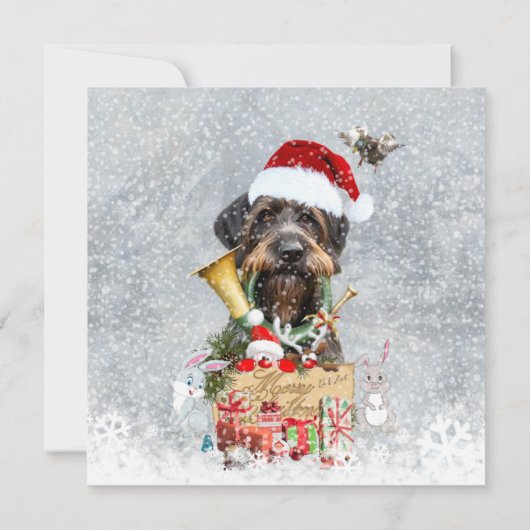Drahthaar Pointer, Dog Weihnachten (Rückseite)