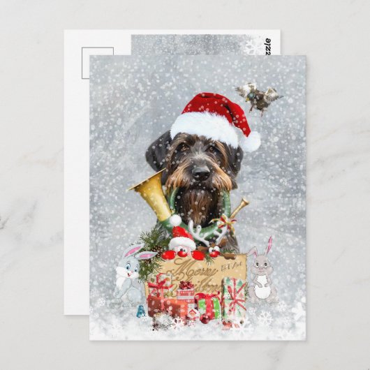 Drahthaar Pointer, Dog Weihnachten Postkarte (Vorne/Hinten)
