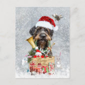 Drahthaar Pointer, Dog Weihnachten Postkarte (Vorderseite)