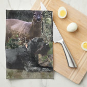 Drahthaar Pointer, Jagd im Freien Geschirrtuch (Viertel Falte)