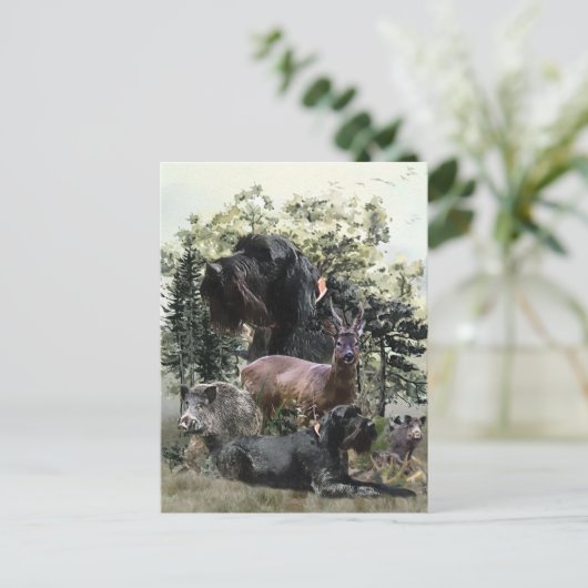 Drahthaar Pointer, Jagd im Freien Postkarte (Stehend Vorderseite)