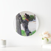 Drahthaar Pointing Griffon Clock Große Wanduhr (Zuhause)