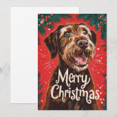 Drahthaar Pointing Griffon Frohe Weihnachten (Vorne/Hinten)