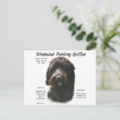 Drahthaar Pointing Griffon History Design Postkarte (Stehend Vorderseite)