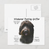 Drahthaar Pointing Griffon History Design Postkarte (Vorne/Hinten)