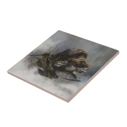 Drahthaar Pointing Griffon, Jagd auf Holzhaken Fliese (Seite)