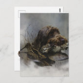 Drahthaar Pointing Griffon, Jagd auf Holzhaken Postkarte (Vorne/Hinten)