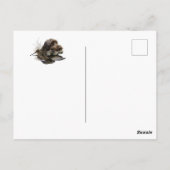 Drahthaar Pointing Griffon, Jagd auf Holzhaken Postkarte (Rückseite)