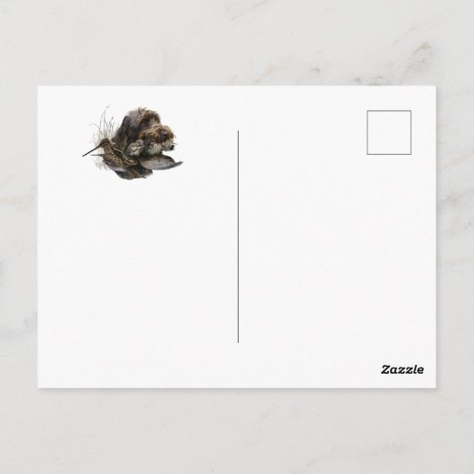Drahthaar Pointing Griffon, Jagd auf Holzhaken Postkarte (Rückseite)