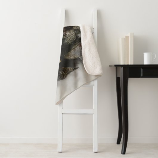 Drahthaar Pointing Griffon, Jagd auf Holzhaken Sherpadecke (Beispiel)