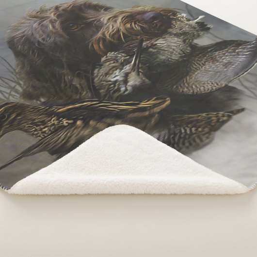 Drahthaar Pointing Griffon, Jagd auf Holzhaken Sherpadecke (3/4)