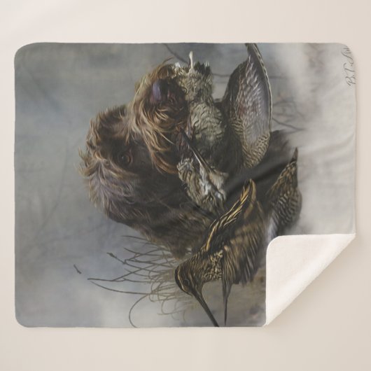 Drahthaar Pointing Griffon, Jagd auf Holzhaken Sherpadecke (Vorderseite (Horizontal))