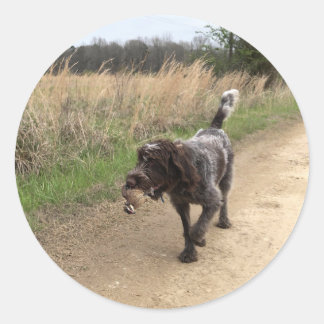 Drahthaar Pointing Griffon Jagdaufkleber Runder Aufkleber