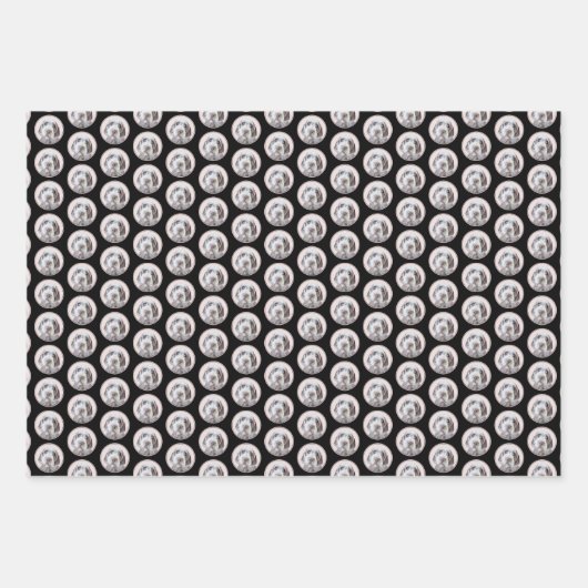 Drahthaar Pointing Griffon Painting - Dog Art Geschenkpapier Set (Vorderseite 3)