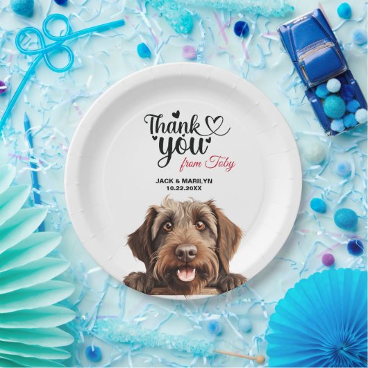 Drahthaar Pointing Griffon Pappteller (Party)