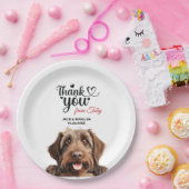 Drahthaar Pointing Griffon Pappteller (Party)