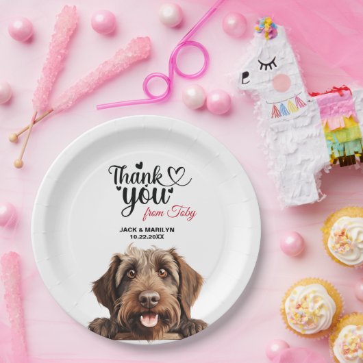 Drahthaar Pointing Griffon Pappteller (Party)