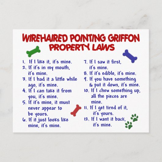 DRAHTHAAR POINTING GRIFFON Property Laws 2 Postkarte (Vorderseite)