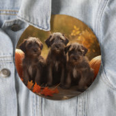Drahthaar Pointing Griffon Puppy Herbst Button (Beispiel)