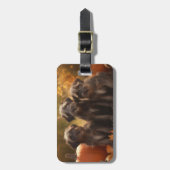 Drahthaar Pointing Griffon Puppy Herbst Gepäckanhänger (Vorderseite vertikal)