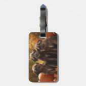 Drahthaar Pointing Griffon Puppy Herbst Gepäckanhänger (Rückseite vertikal)