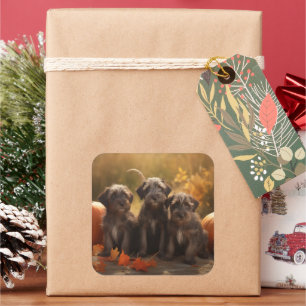 Drahthaar Pointing Griffon Puppy Herbst Quadratischer Aufkleber