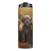 Drahthaar Pointing Griffon Puppy Herbst Thermosbecher (Vorderseite)