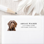 Drahthaar Pointing Griffon Rücksendeadressen-Aufkl (Insitu)