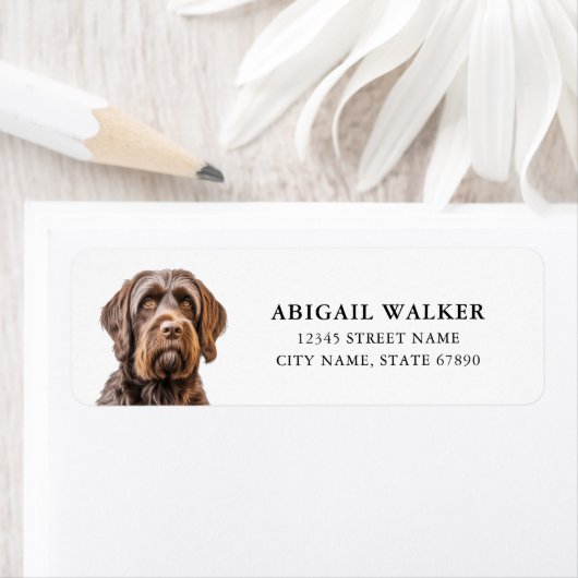 Drahthaar Pointing Griffon Rücksendeadressen-Aufkl (Insitu)