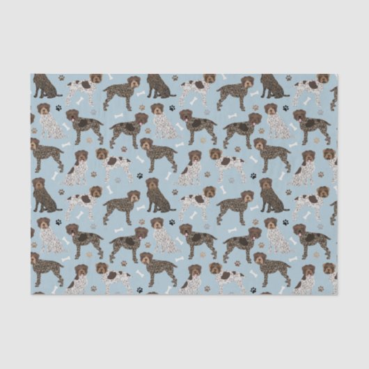 Drahthaar Pointing Griffon Seidenpapier (Vorderseite)