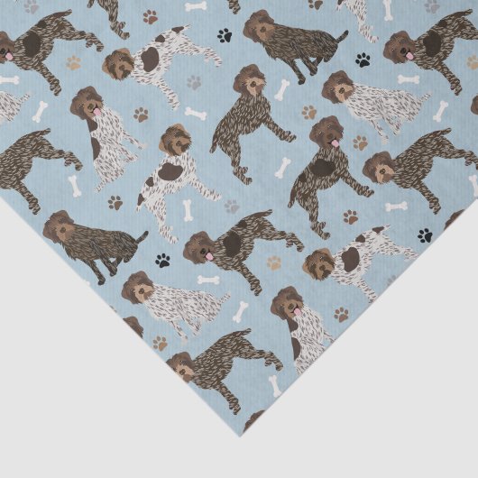 Drahthaar Pointing Griffon Seidenpapier (Ausschnitt)