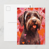 Drahthaar Pointing Griffon Valentinstag Postkarte (Vorne/Hinten)
