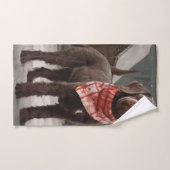 Drahthaar Pointing Hund im Schnee Weihnachten Badhandtuch Set (Handtuch)