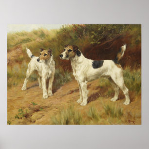 Drahthaar-Terrier von Thomas Blinks Poster