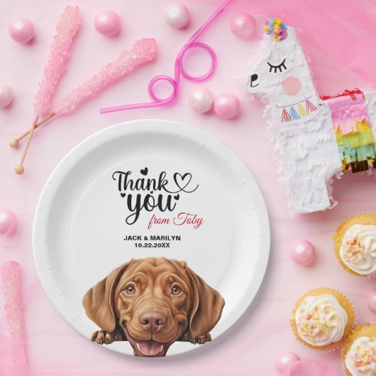 Drahthaar Vizla Pappteller (Party)