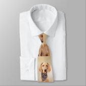 Drahthaar Vizsla Painting - Niedliche Hundekunst Krawatte (Gebunden)